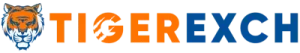 logo-text-1024x179-1-e1675927171736.png